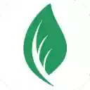Leaf Twitter Content Template Generator  screen for extension Chrome web store in OffiDocs Chromium