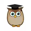 Learn Dolch Sight Words  screen for extension Chrome web store in OffiDocs Chromium