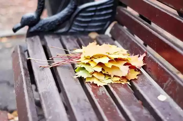 Template Photo Leaves Autumn Shop -  for OffiDocs