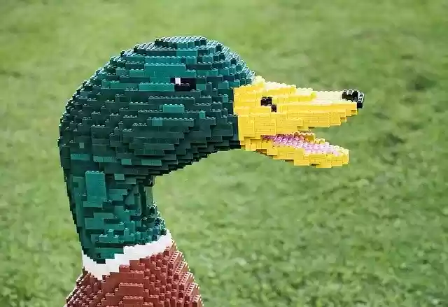 Free download lego duck drake mallard bird free picture to be edited with GIMP free online image editor