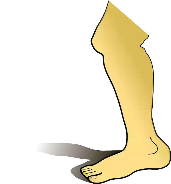 Free download Leg Shin Foot - Free vector graphic on Pixabay free illustration to be edited with GIMP free online image editor