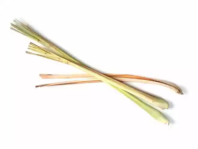 Free download Lemongrass Culinary Herbs -  free free photo or picture to be edited with GIMP online image editor