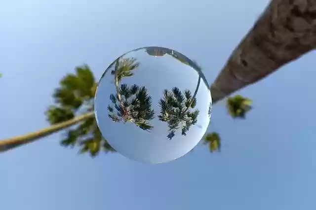 Free download Lensball Sphere Palm -  free photo or picture to be edited with GIMP online image editor