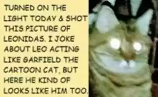 Free download LEONIDAS2021 free photo or picture to be edited with GIMP online image editor