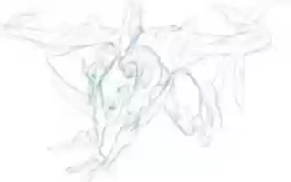 Free download Lexwingreply free photo or picture to be edited with GIMP online image editor