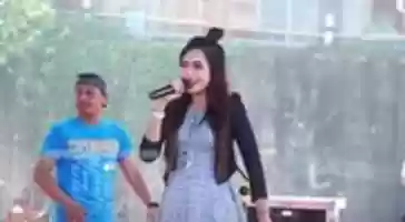 Free download LG1574 free photo or picture to be edited with GIMP online image editor