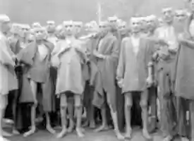 Free download Liberation of the Concentration Camps free photo or picture to be edited with GIMP online image editor