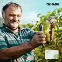 Free download Liberty Agro free photo or picture to be edited with GIMP online image editor