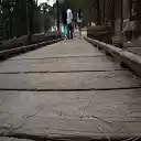 life goes on  screen for extension Chrome web store in OffiDocs Chromium