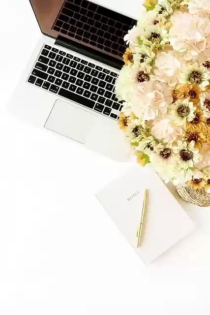 Free download lifestyle paper flowers crafting free picture to be edited with GIMP free online image editor