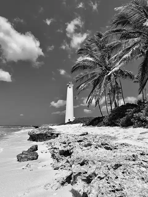 Muat turun percuma Lighthouse Barbers Point Palm - foto atau gambar percuma untuk diedit dengan editor imej dalam talian GIMP