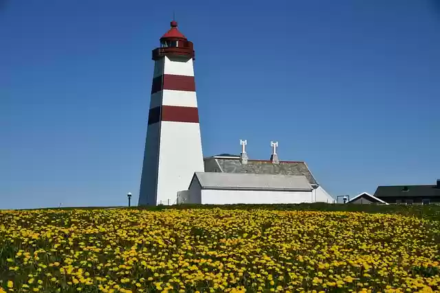 Free download lighthouse flower meadow sky blue free picture to be edited with GIMP free online image editor
