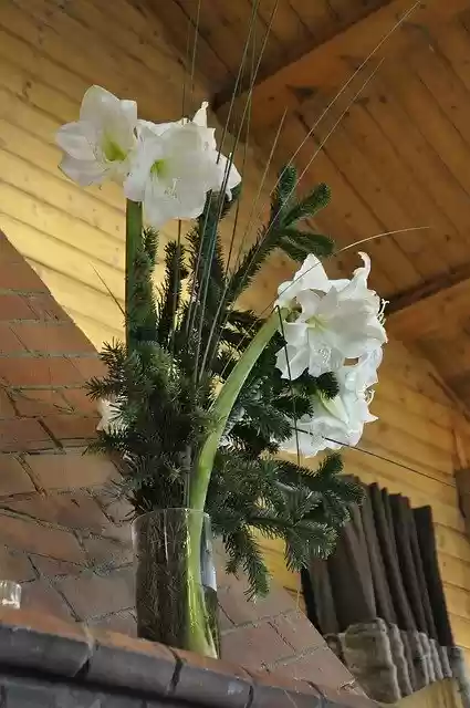 Free download Lilies Easter White -  free photo or picture to be edited with GIMP online image editor