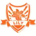 Lily Downloader  screen for extension Chrome web store in OffiDocs Chromium