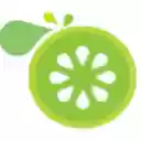 LimeCoinX Wallet  screen for extension Chrome web store in OffiDocs Chromium