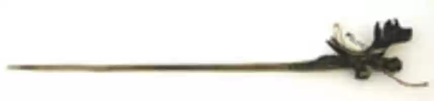 Free download Lime Dipper or Pin free photo or picture to be edited with GIMP online image editor