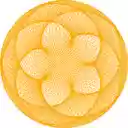 Line Patterns  screen for extension Chrome web store in OffiDocs Chromium