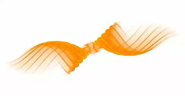 Free download Lines Grid Curves -  free illustration to be edited with GIMP free online image editor