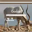 Linh Duong  screen for extension Chrome web store in OffiDocs Chromium