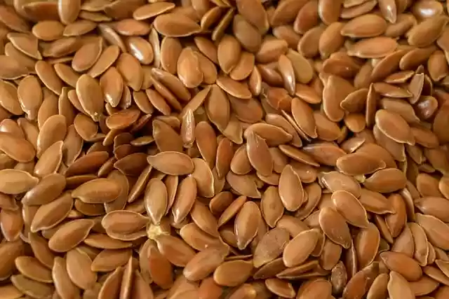 Free download linseed healthy seeds small meal free picture to be edited with GIMP free online image editor