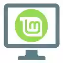Linux Mint online server  screen for extension Chrome web store in OffiDocs Chromium