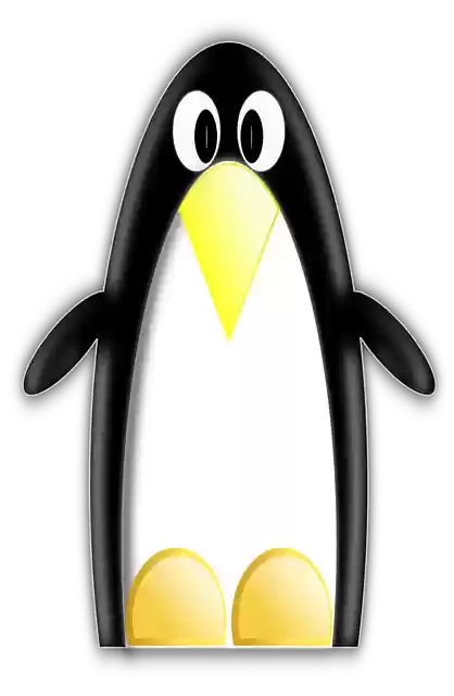 Free download Linux Penguin Black - Free vector graphic on Pixabay free illustration to be edited with GIMP free online image editor
