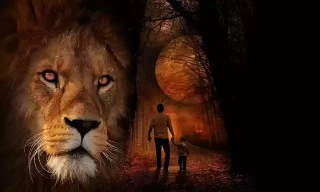 Descarga gratuita Lion Danger Wild: foto o imagen gratuita para editar con el editor de imágenes en línea GIMP