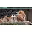 Lion family  screen for extension Chrome web store in OffiDocs Chromium