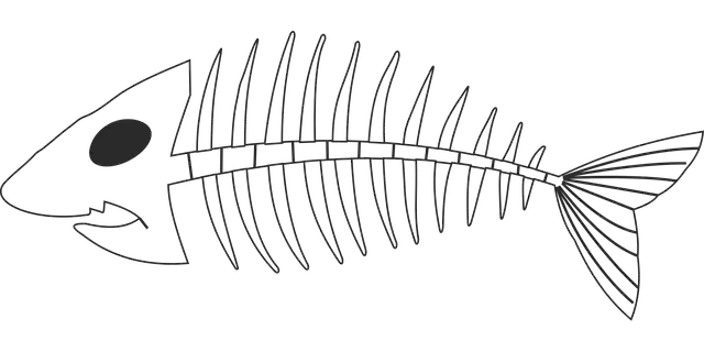 Free download Lisca Fish - Free vector graphic on Pixabay free illustration to be edited with GIMP free online image editor