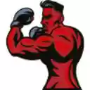 Liste des meilleurs combattants à lUFC  screen for extension Chrome web store in OffiDocs Chromium