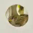 Little bird and beautiful nest  screen for extension Chrome web store in OffiDocs Chromium