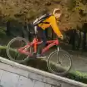 Little boy riding a bicycle  screen for extension Chrome web store in OffiDocs Chromium