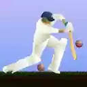 Little Master Cricket  screen for extension Chrome web store in OffiDocs Chromium