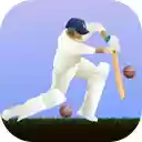 Little Master Cricket Master batting and score big!  screen for extension Chrome web store in OffiDocs Chromium