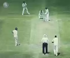 Free download Live Cricket Playing Image free photo or picture to be edited with GIMP online image editor