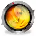 LiveReloadHttps  screen for extension Chrome web store in OffiDocs Chromium