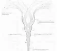 Free download living_energies_page_47_energy_and_form-1000x900xc free photo or picture to be edited with GIMP online image editor