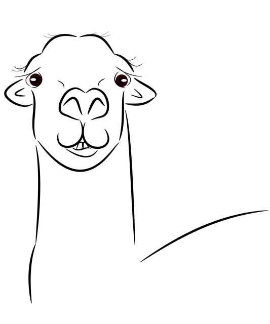 Free download Llama Head Animal -  free illustration to be edited with GIMP free online image editor