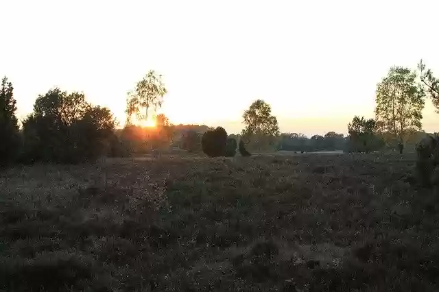 Free download Lüneburg-Heide Landscape Sunset -  free photo or picture to be edited with GIMP online image editor