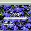 Lobelia  screen for extension Chrome web store in OffiDocs Chromium