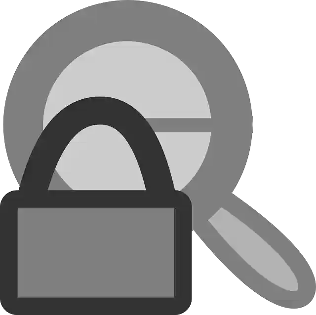 Free download Lock Action View - Free vector graphic on Pixabay free illustration to be edited with GIMP free online image editor