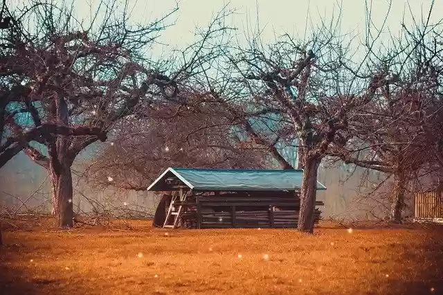 Free download Log Cabin Fruit Trees Meadow -  free photo or picture to be edited with GIMP online image editor