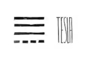 Free download Logo TESLA  free photo or picture to be edited with GIMP online image editor