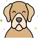 Lone Dog in Snowy Wilderness  screen for extension Chrome web store in OffiDocs Chromium
