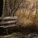 Lonely chair  screen for extension Chrome web store in OffiDocs Chromium