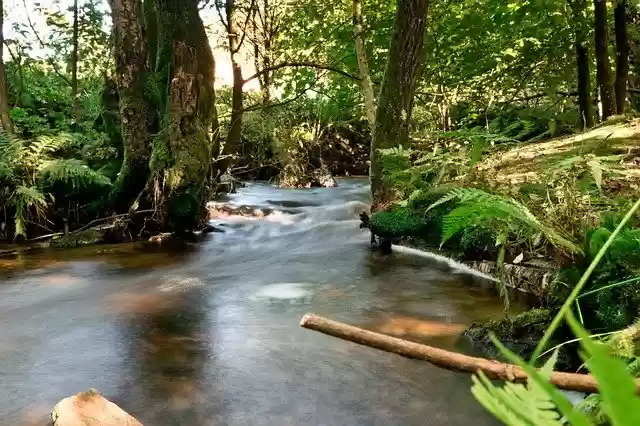 Free download Long Exposure Lake -  free photo or picture to be edited with GIMP online image editor