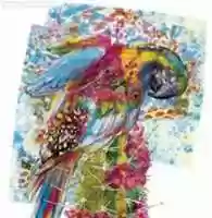 Free download lorito-02 free photo or picture to be edited with GIMP online image editor