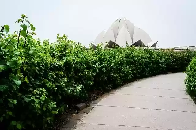 Free download Lotus Temple India Heritage -  free photo template to be edited with GIMP online image editor