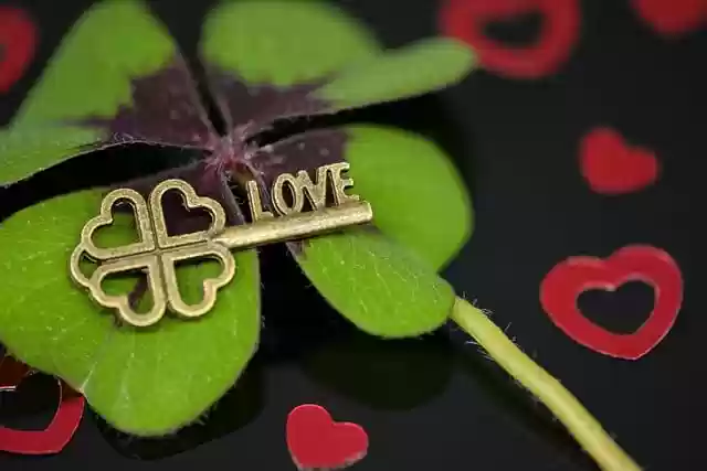 Free download love four leaf clover happiness free picture to be edited with GIMP free online image editor