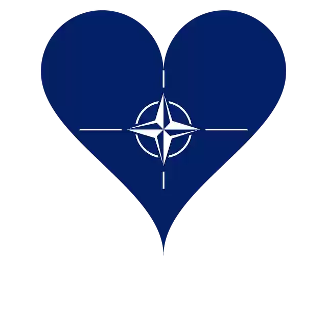 Free download Love Heart Nato - Free vector graphic on Pixabay free illustration to be edited with GIMP free online image editor